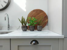 Load image into Gallery viewer, Kentwell Basil, Thyme & Rosemary Trio