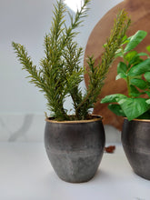 Load image into Gallery viewer, Kentwell Basil, Thyme & Rosemary Trio