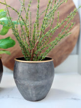 Load image into Gallery viewer, Kentwell Basil, Thyme & Rosemary Trio
