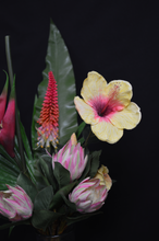 Load image into Gallery viewer, Komati