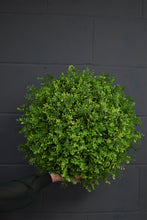 Load image into Gallery viewer, Light Green Box Ball - 40cm