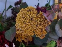 Load image into Gallery viewer, Milbourne