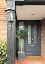 Load image into Gallery viewer, Bay Laurel Ball Tree - 135cm