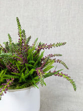 Load image into Gallery viewer, Welford
