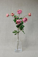 Load image into Gallery viewer, English Rose Spray - Mauve/Dark Pink
