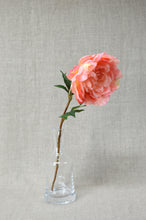 Load image into Gallery viewer, Peony Stem - Coral
