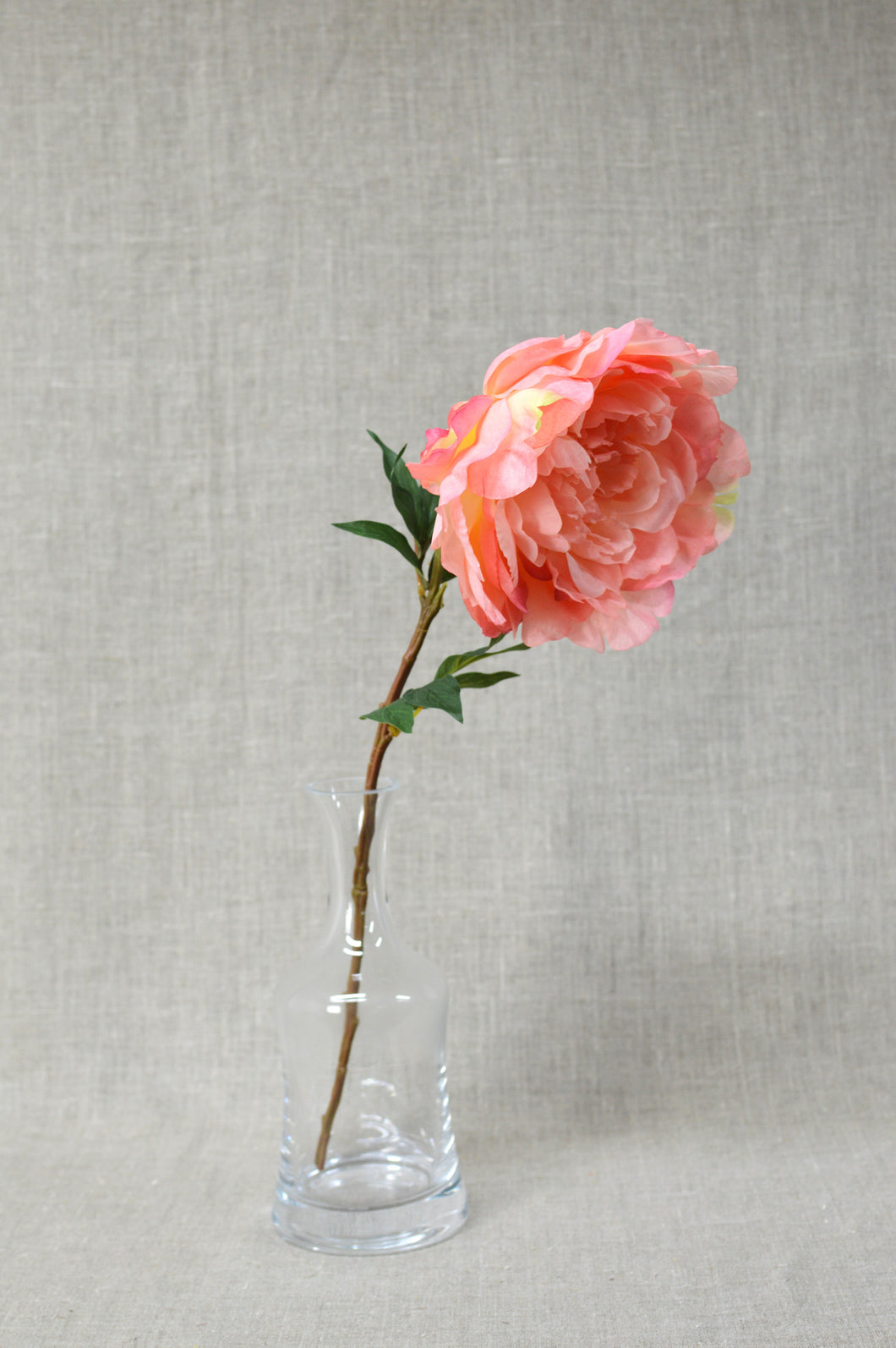 Peony Stem - Coral