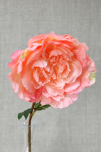 Load image into Gallery viewer, Peony Stem - Coral
