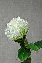 Load image into Gallery viewer, Protea Pin Cushion - White
