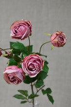 Load image into Gallery viewer, English Rose Spray - Mauve/Dark Pink
