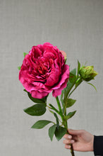 Load image into Gallery viewer, Peony Spray Large with Bud - Cerise
