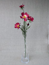 Load image into Gallery viewer, Cosmos - Burgundy
