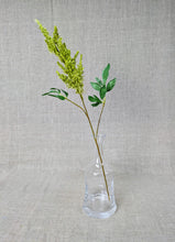 Load image into Gallery viewer, Astilbe - Green
