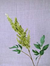 Load image into Gallery viewer, Astilbe - Green
