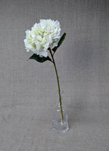 Load image into Gallery viewer, Hydrangea - White
