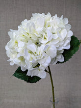 Load image into Gallery viewer, Hydrangea - White
