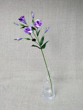 Load image into Gallery viewer, Lisianthus - Lavender
