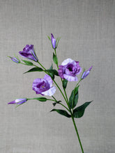 Load image into Gallery viewer, Lisianthus - Lavender
