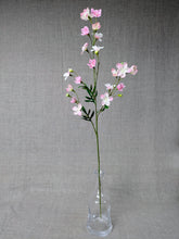 Load image into Gallery viewer, Sakura Spray - Pink
