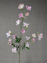 Load image into Gallery viewer, Sakura Spray - Pink
