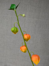 Load image into Gallery viewer, Japenese Lantern Branch - Orange
