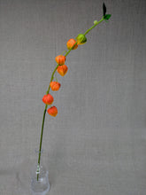 Load image into Gallery viewer, Japenese Lantern Branch - Orange
