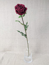 Load image into Gallery viewer, Rose Stem Open Velvet - Dark Red
