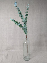 Load image into Gallery viewer, Eucalyptus Spray - Dusky Grey/Green
