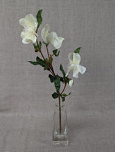 Load image into Gallery viewer, Hellebore Spray - White
