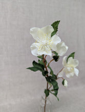 Load image into Gallery viewer, Hellebore Spray - White
