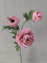 Load image into Gallery viewer, Ranunculus Spray - Antique Pink
