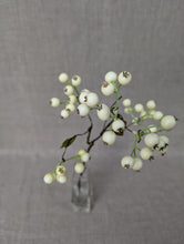 Load image into Gallery viewer, Berry Spray - White
