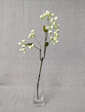 Load image into Gallery viewer, Berry Spray - White
