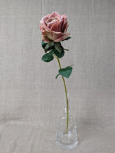 Load image into Gallery viewer, Essential Garden Rose - Vintage Blush
