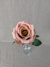 Load image into Gallery viewer, Essential Garden Rose - Vintage Nude
