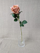 Load image into Gallery viewer, Essential Garden Rose - Vintage Nude
