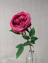 Load image into Gallery viewer, Rose Stem Lora - Cerise
