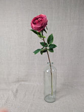 Load image into Gallery viewer, Rose Stem Lora - Cerise
