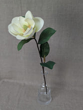 Load image into Gallery viewer, Magnolia Single - Cream
