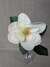 Load image into Gallery viewer, Magnolia Single - Cream
