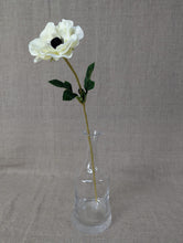 Load image into Gallery viewer, Anemone - Ivory
