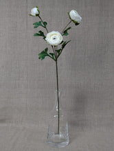 Load image into Gallery viewer, Ranunculus Spray x3 - White

