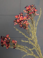 Load image into Gallery viewer, Waxflower Spray - Dry Colour Burgundy H79cm

