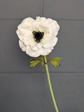 Load image into Gallery viewer, Anemone - Cream
