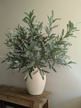 Load image into Gallery viewer, Olive Leaf Branch
