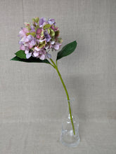 Load image into Gallery viewer, Hydrangea - 66cm - Dark Pink/Green
