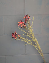 Load image into Gallery viewer, Waxflower Spray - Dry Colour Burgundy H79cm
