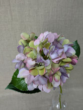 Load image into Gallery viewer, Hydrangea - 66cm - Dark Pink/Green
