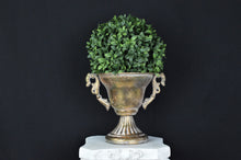 Load image into Gallery viewer, Boxwood Ball - 17cm
