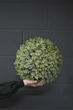 Load image into Gallery viewer, Eucalyptus Ball - 30cm
